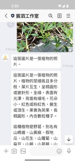 愛悠針對圖片內容產生回答
